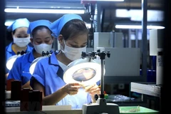 Vietnam-Argentina trade-investment ties key to recovery, development: official