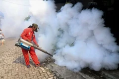 Indonesia logs threefold increase in dengue cases