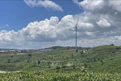 Fast-moving consumer goods producers help promote circular economy 