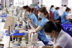 Vietnamese economy proceeding as predicted: experts