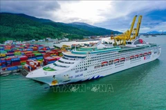 Da Nang’s tourism flourishes on first days of Lunar New Year