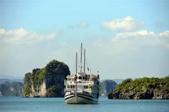 World yacht race to arrive in Quang Ninh province