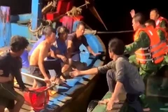 Ba Ria - Vung Tau authorities hand over 11 saved foreign sailors to consulates general
