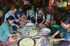 Thua Thien-Hue lures tourists with Tet experience tours