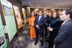 PM works with Vietnamese scholars and experts in Australia