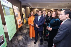 PM works with Vietnamese scholars and experts in Australia