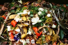 Thai researchers turn food waste into biochar