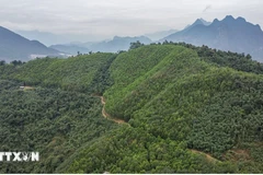 Revenue from carbon credits distributed to localities: official