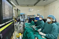 Vietnam to elevate six hospitals to global standards