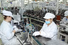 More than 300 businesses, manufacturers to attend VGMF 2024