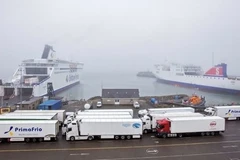 Embassy ready for citizen protection measures regarding case of migrants found in container in Rosslare port