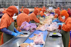 Vietnam’s agricultural exports to China expected to rise