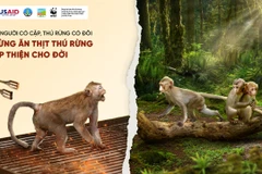 People called on to reduce wildlife meat demand