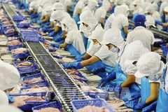 Exports by FDI, domestic sectors expected to rebound: official