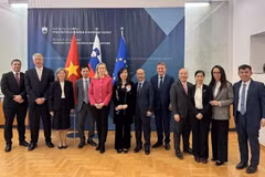  Vietnam treasures ties with Slovakia: Deputy FM