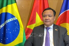 Brazilian President interested in advancing ties with Vietnam: Ambassador