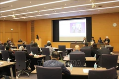 VNA General Director delivers speech at OANA’s 52nd Executive Board Meeting