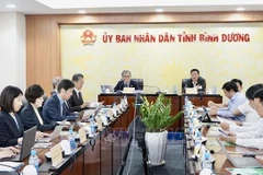 Binh Duong, Japanese region cooperate in building environmental protection capacity