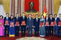 President presents appointment decisions to ambassadors, heads of representative agencies abroad