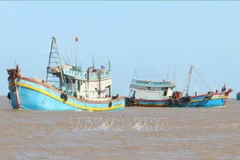 Southern localities take urgent action to fight IUU fishing