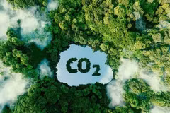 Training course sheds light on emission trading system, carbon market