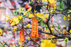 Tet wishes extended to overseas Vietnamese