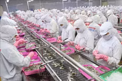 Agro-forestry-aquatic product exports post trade surplus of 4.74 billion USD in four months