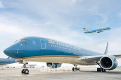 Vietnam Airlines Group to add over 300 domestic flights for upcoming Tet 