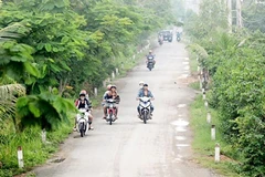 Truong Van Da road in Binh Chanh District, HCM City. (Photo: sggp.gov.vn)