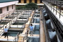  Rural clean water system inaugurated in Can Tho