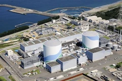 Vietnam, Japan hold training courses on nuclear power safety
