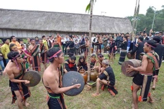 Binh Dinh: fading ethnic music requires practical measures 