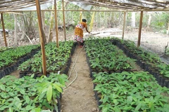 Singapore, Indonesia boost agricultural cooperation