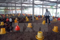 Report on farmer cooperation and linkages in agricultural production 