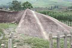  Old stone carvings excite scientists
