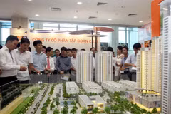 Property association executive refutes bubble possibility 