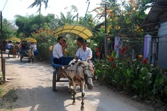  Tourism focuses on southeast region