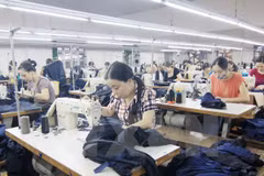  57 FDI projects land in Dong Nai province 