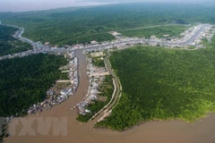 Ca Mau: People join hands in developing eco-tourism