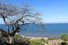 Biodiversity conservation, tourism combined in national park