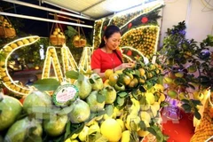 Diversified activities at fruit fair in Luc Ngan district