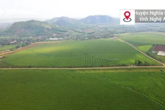 Vice President Vo Thi Anh Xuan visits the world's largest dairy farm cluster