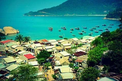 Cu Lao Cham Island: A peaceful and wild beauty of nature