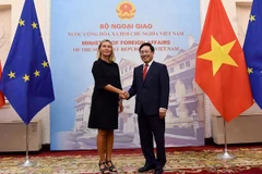 Deputy PM Pham Binh Minh holds talks with EC Vice-President