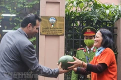 The Kuwait's Embassy gave out free watermelons to help Vietnamese farmers