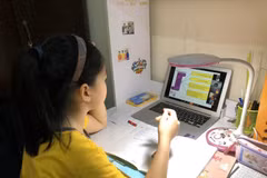 Learning online: The one solution for students in COVID-19 disease