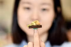 Meet a Vietnamese girl with a passion for miniature food models