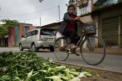 Hanoi: Farmers in Tay Tuu flower village face hardship in COVID-19 pandemic
