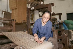 Making silk from lotus: a specialty of a Vietnamese craftsman