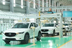 Automobile sales enjoy growth at year’s end